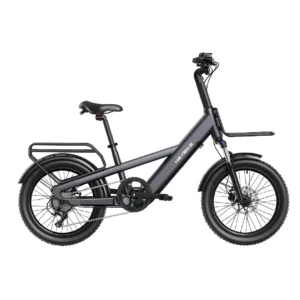 Heybike EC Compact Sport grey