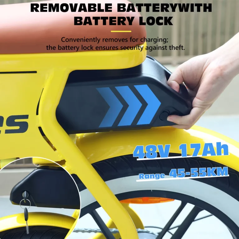Hidoes C8 Electric Bike 13 Hidoes C8 battery