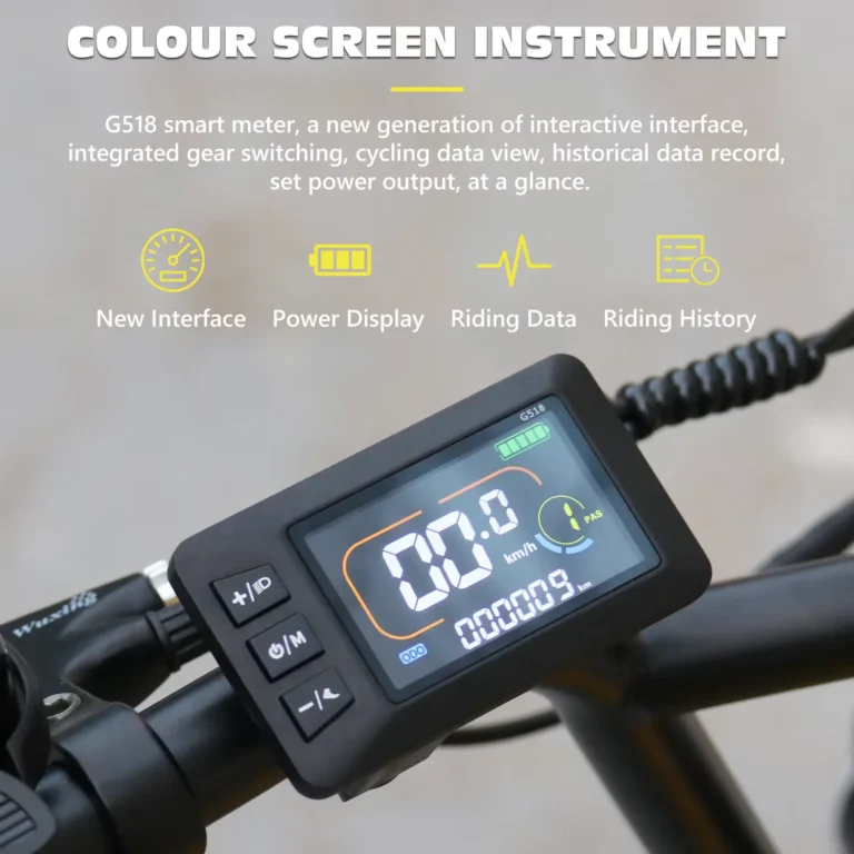 Hidoes C8 Electric Bike 9 Hidoes C8 display