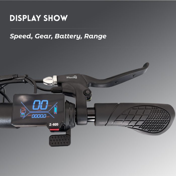 Kugoo M4 Pro + Electric Scooter 10 Display